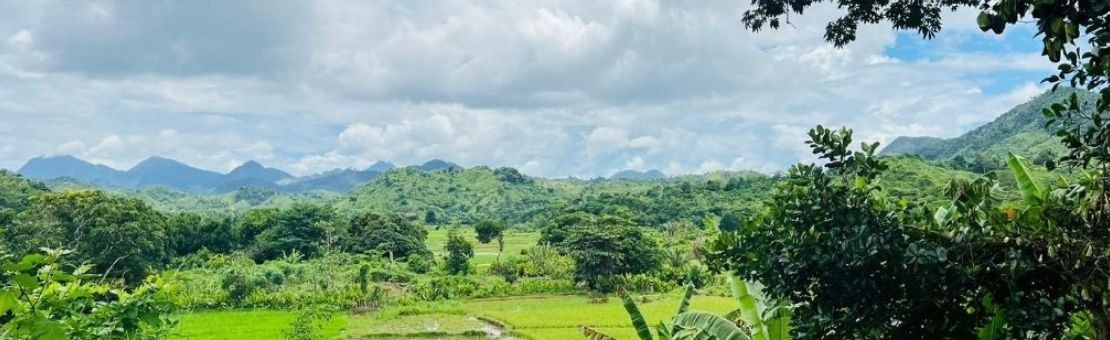 paysage-madagascar